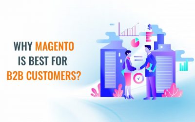 6 Features that makes Magento the best platform for B2B customers